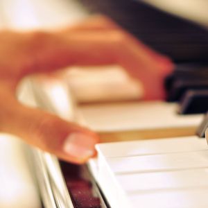 免费黄色软件永久免费破解
