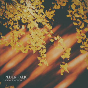 免费黄色软件永久免费破解
